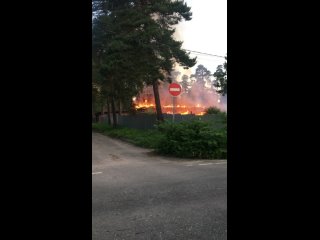 3:40 утра, а уже что-то горит в районе Расторгуево  3:50 пламя поднялось до макушек деревьев  3:59 дым пошел..
