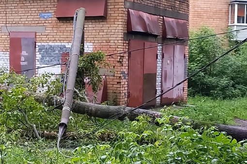 Упало дерево на провода уличного освещения  и сломало две опоры. ул. Гражданская. Похоже частично дереву..