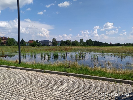 Вокруг парковки лыжероллерной трассы в Дубровицах образовалось болото площадью более гектара и глубиной до..