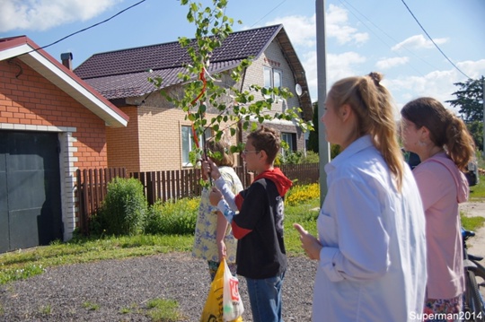 Троица в Кудыкино.  Каждый год дети наряжают молодую берёзку или берёзовую веточку цветными кусочками ткани..