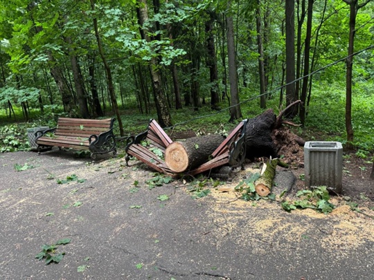 🌳Последствия сильного шторма в 9-м..