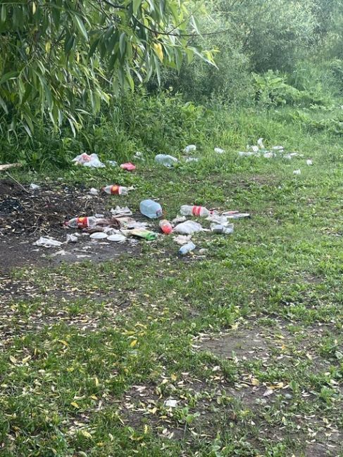 Просьба вывезти мусор из парковой зоны напротив дома Борисовка..