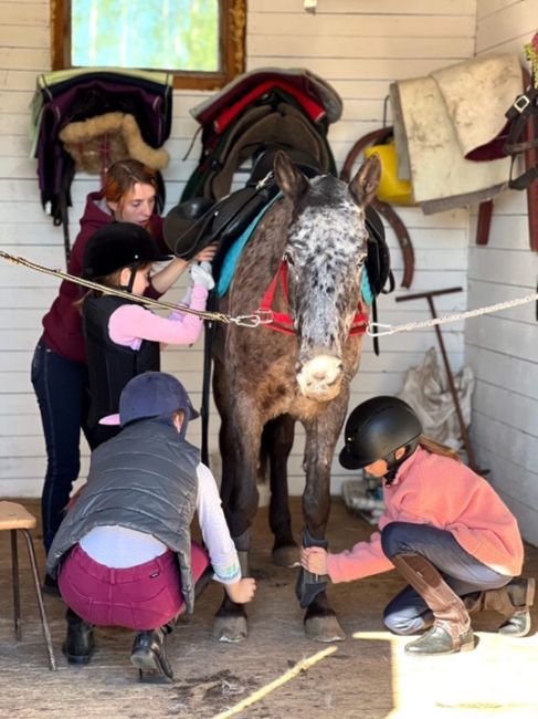 🐎Детский конный лагерь для влюбленных в лошадей!🐎 
Увлекательная программа, где не останется времени для..