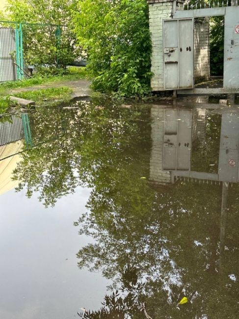 Вход в психдиспансер на силикатной .. прыгала сейчас и промочила все ботинки!! Это безобразие полное!! С..