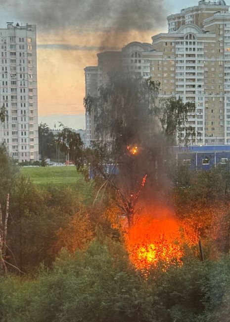 Горит дерево на Успенской..