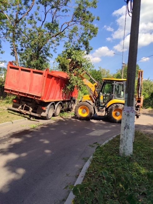 В Жуковском продолжают устранять последствия урагана.  «В Жуковском из-за непогоды повалило деревья по..