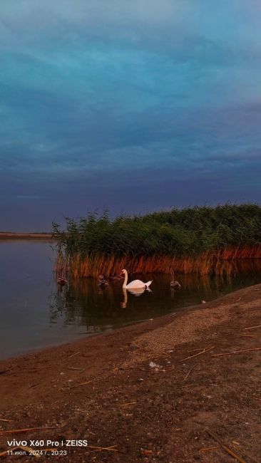 СЕГОДНЯ - ДЕНЬ ФОТОГРАФА 📸
А какой вами сделанной фотографией вы могли бы похвастаться? 
Делитесь в..