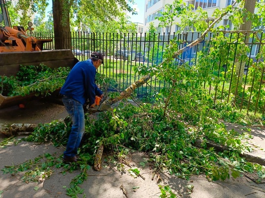 Всю ночь и в течение сегодняшнего дня службы города устранили последствия урагана.  «Вчера на Московскую..