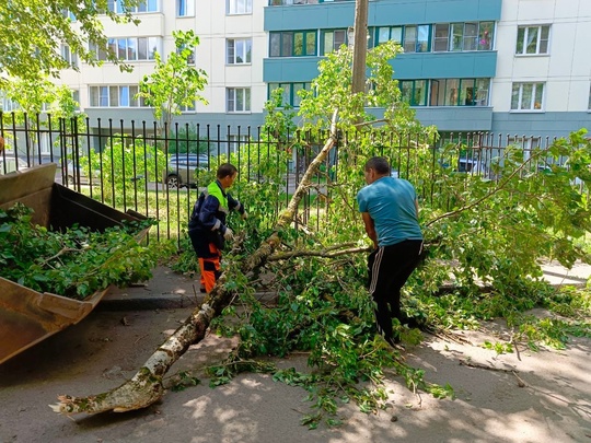 Всю ночь и в течение сегодняшнего дня службы города устранили последствия урагана.  «Вчера на Московскую..