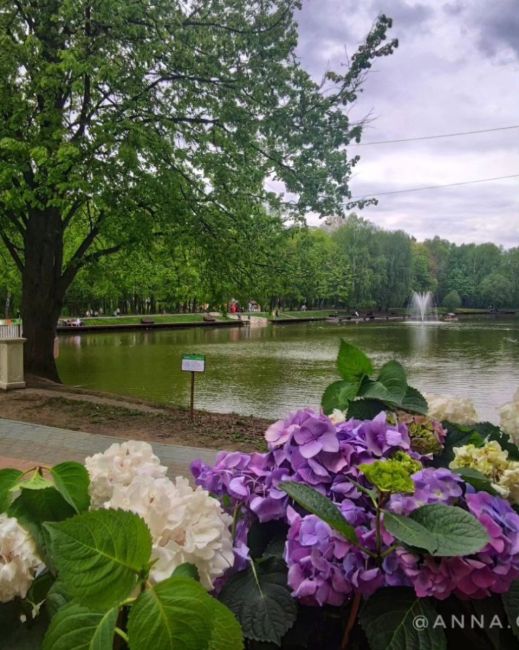 📷📍ПКиО "Ивановские пруды", 
г. Красногорск, май 2024.  Дорожки парка так и зовут гулять по ним...