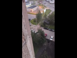 Драка на Молодежной улице в Климовске рядом с Глобусом .Пострадавший резко убежал в кусты, а после того как..