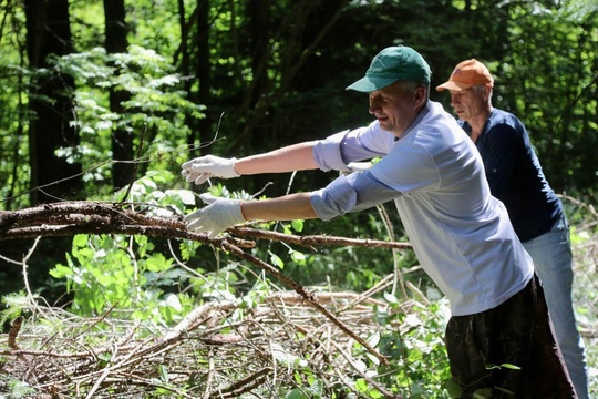 🌳🌲 Городской округ Коломна вновь присоединился к проекту «Чистый лес» партии «Единая Россия». Сотрудники..