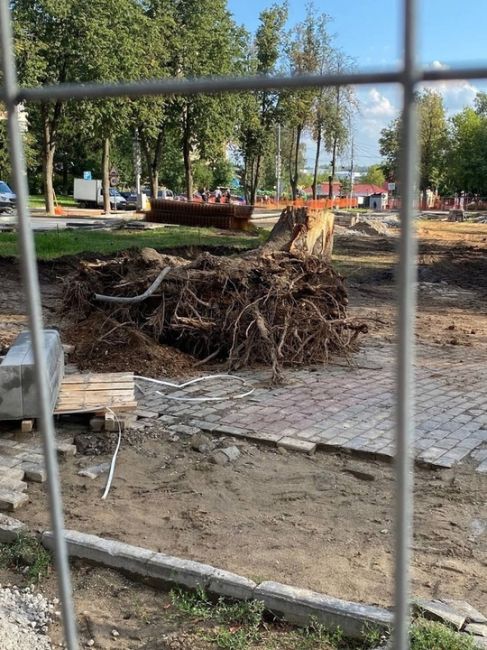 В микрорайоне Пироговский в Мытищах под видом реконструкции уничтожают деревья в центральном сквере...