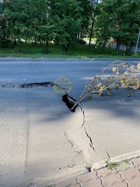 И снова Нагорное шоссе, там возле парка асфальт провалился🫣  Кто-то поставил в яму ветку дерева, чтобы..