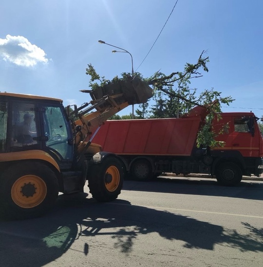 В Жуковском продолжают устранять последствия урагана.  «В Жуковском из-за непогоды повалило деревья по..