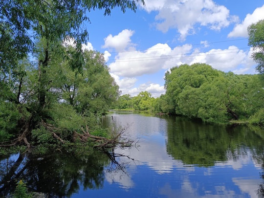 🌳 Друзья, приглашаю вас в незабываемый трекинг-поход по живописным лесам Владимирской области! 13 июля 2024..