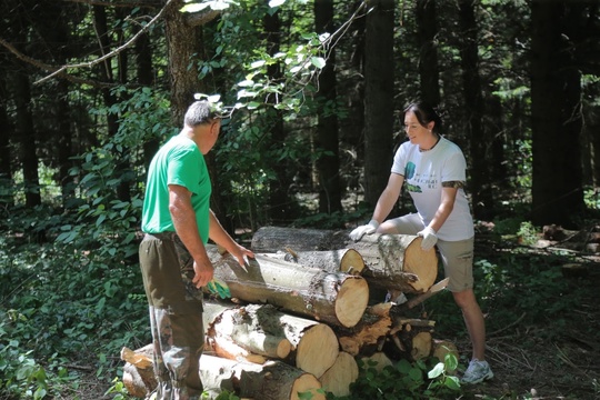 🌳🌲 Городской округ Коломна вновь присоединился к проекту «Чистый лес» партии «Единая Россия». Сотрудники..