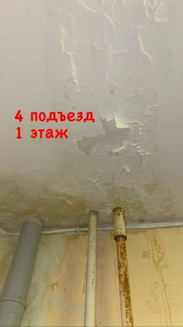 В дома по адресу: г. Пушкино, Московский проспект, д. 27 уже более 10 лет не было даже косметического ремонта...