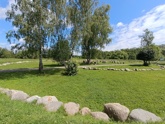 🌳 Друзья, приглашаю вас в незабываемый трекинг-поход по живописным лесам Владимирской области! 13 июля 2024..