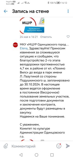 Одинцовский житель решил прогуляться по Подушкинскому парку и его «бомбануло»..