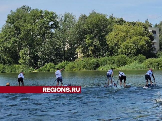 Победившие на соревнованиях в Пушкино серферы представят область на соревнованиях в Нижнем..