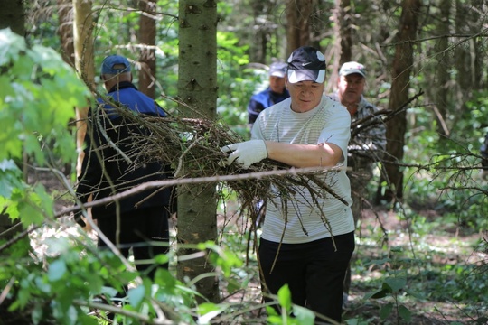 🌳🌲 Городской округ Коломна вновь присоединился к проекту «Чистый лес» партии «Единая Россия». Сотрудники..