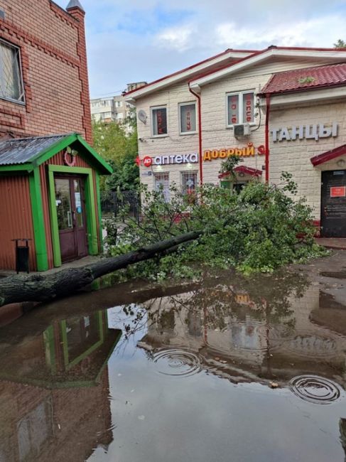 На улице Мраморная д.2 возле магазина "Малинка", упало дерево перегородило вход в..