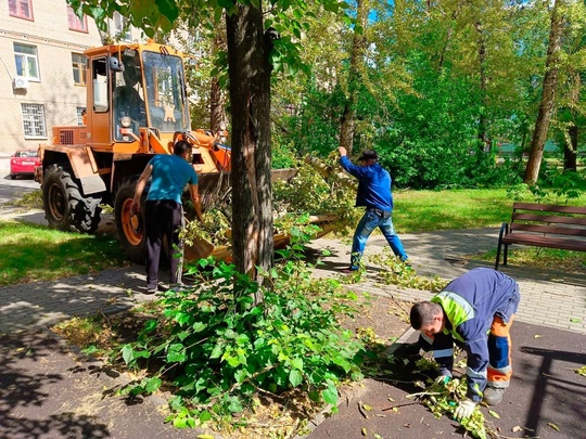 В Жуковском продолжают устранять последствия урагана.  «В Жуковском из-за непогоды повалило деревья по..