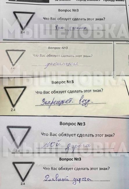 В сети нашли результаты экзамена по ПДД для мигрантов, работающих в такси. С причинами большого количества..