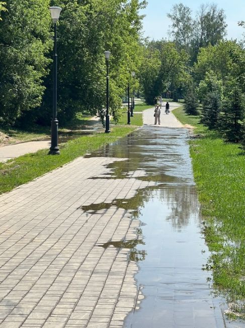От подписчика:
__________
На улице Колхозной в Подрезково, являющейся парковой аллеей, 04.07.2024 случился потоп - из..