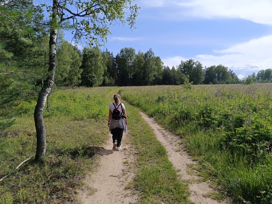 🌳 Друзья, приглашаю вас в незабываемый трекинг-поход по живописным лесам Владимирской области! 13 июля 2024..