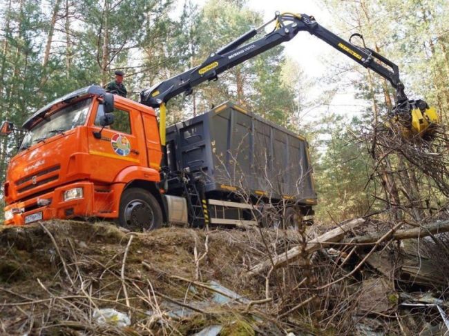 Почти 600 кубометров мусора вывезли из лесов Пушкинского округа с начала сезона  Второе место занимает..