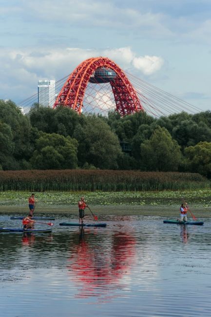 Серебряный Бор  Фото: Александр..