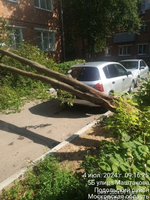 Маштакова 5Б, 4 подъезд упало дерево прямо на вход в подъезд, проезд..