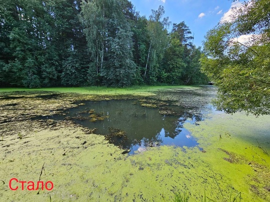 Историческое место в деревне Воронки находится в плачевном состоянии  Река Праслиха образует каскад прудов..