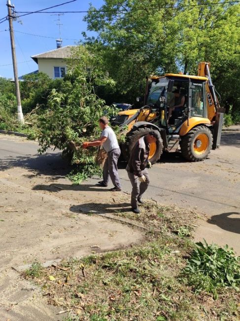 В Жуковском продолжают устранять последствия урагана.  «В Жуковском из-за непогоды повалило деревья по..