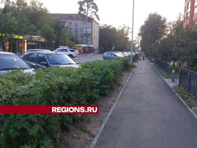 До конца недели в Пушкино организуют парковочные места, а в Ивантеевке отремонтируют дорогу  Администрация..