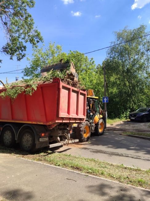 В Жуковском продолжают устранять последствия урагана.  «В Жуковском из-за непогоды повалило деревья по..