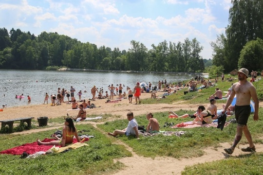 Только три проверенных пляжа в Сергиево-Посадском округе признаны пригодными для купания  Сотрудники..