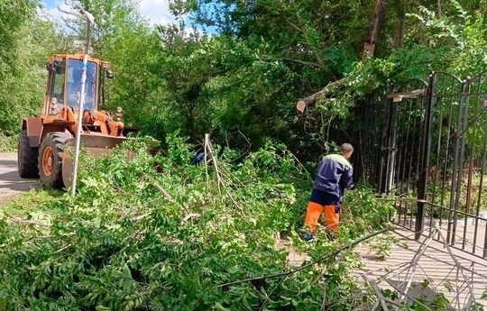 В Жуковском продолжают устранять последствия урагана.  «В Жуковском из-за непогоды повалило деревья по..