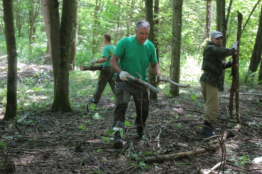 🌳🌲 Городской округ Коломна вновь присоединился к проекту «Чистый лес» партии «Единая Россия». Сотрудники..