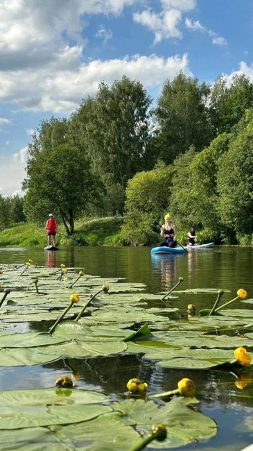 📣 Команда SUP DAY Электроугли/Кудиново (https://vk.com/sup_elugli) приглашает всех любителей активного отдыха на сплав на..