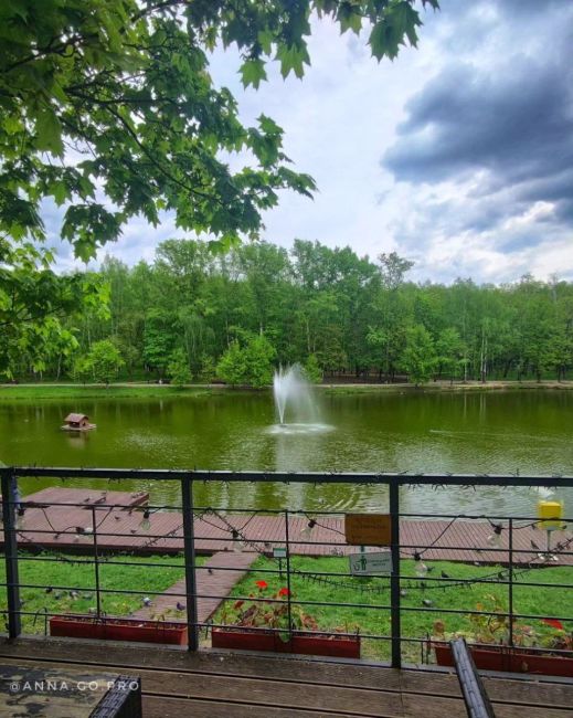 📷📍ПКиО "Ивановские пруды", 
г. Красногорск, май 2024.  Дорожки парка так и зовут гулять по ним...