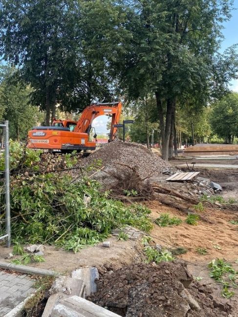 В микрорайоне Пироговский в Мытищах под видом реконструкции уничтожают деревья в центральном сквере...