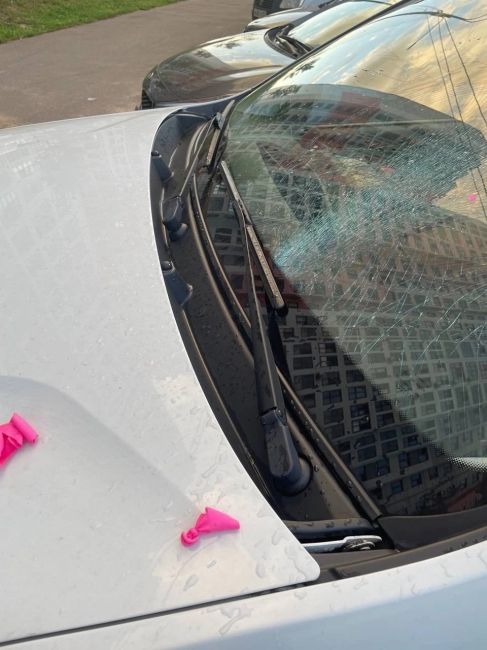 🫣 Вот так развлекаются детишки в Видном 
На Южной, 27, скинули шарик с водой на автомобиль. Итог — разбитое..