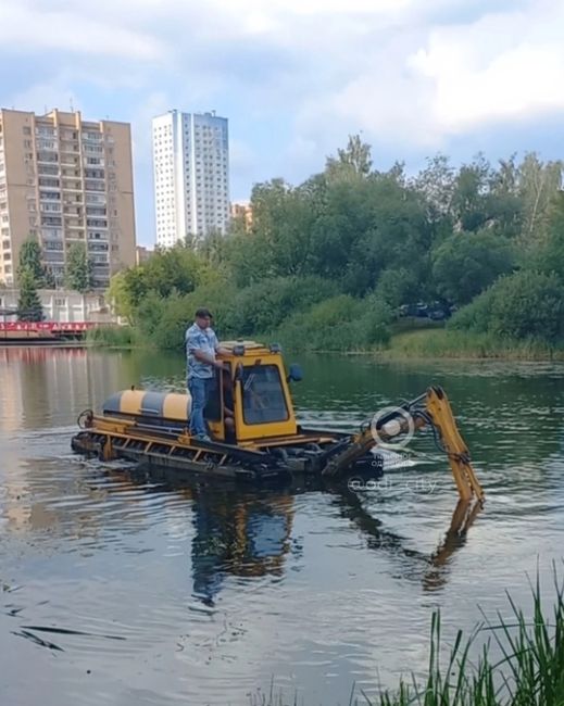 Комсомольский пруд на Втором заводе таки решили почистить..