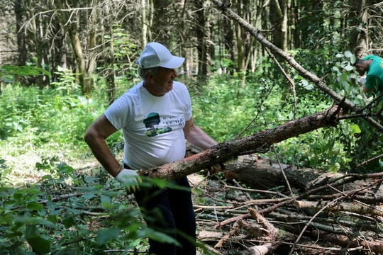 🌳🌲 Городской округ Коломна вновь присоединился к проекту «Чистый лес» партии «Единая Россия». Сотрудники..