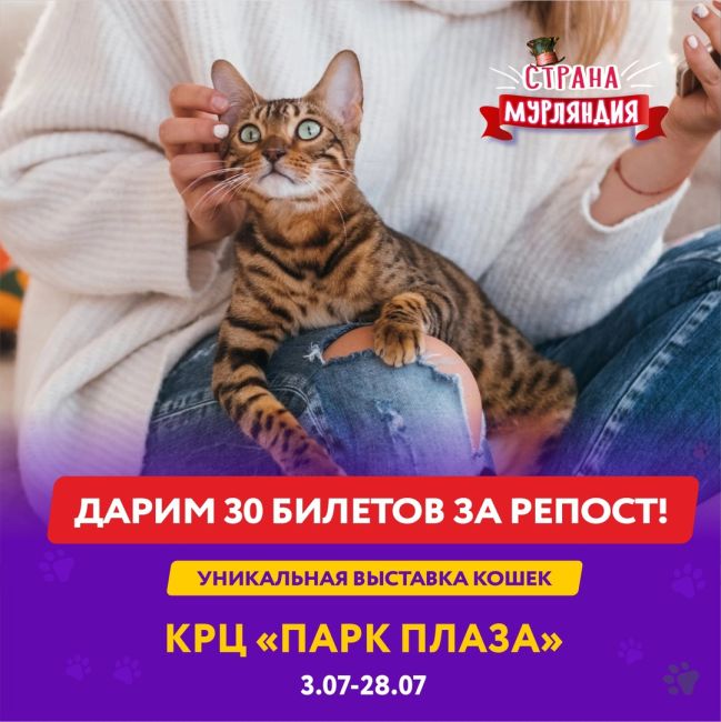 Электросталь! Дарим 30 билетиков на уникальную выставку котиков и кошечек со всего света"Мурляндия" 
Для..