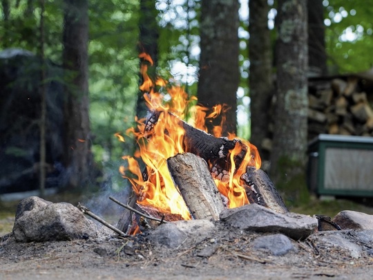 Более 70 нарушителей противопожарного режима выявили в лесах Подольска  В лесах Подольска действует..