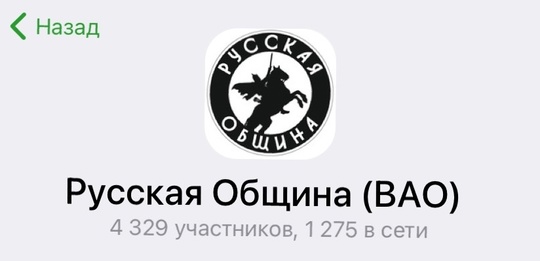 В Домодедово появился регулярный вечерний патруль в виде добровольной народной дружины «Русской общины» 
..